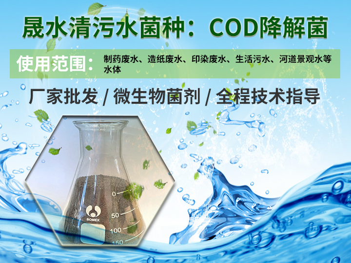污水处理菌种--COD降解菌