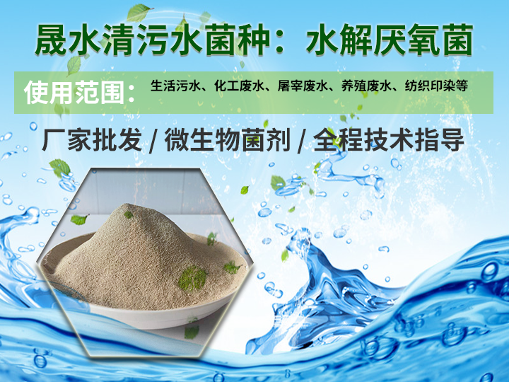 1741232295207099.png 水解厌氧菌.png