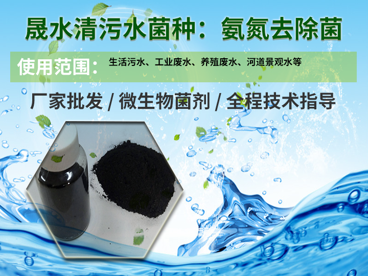 1741232441704763.png 氨氮去除菌1.png