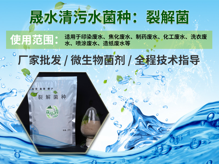 1741233110195926.png 裂解菌1.png