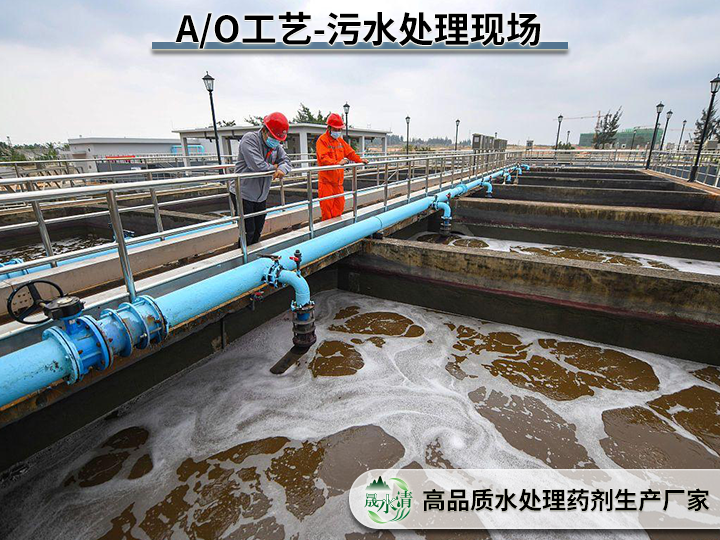 AO污水处理现场02.png