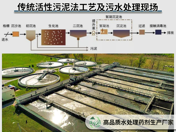 活性污泥法工艺及污水处理现场.png