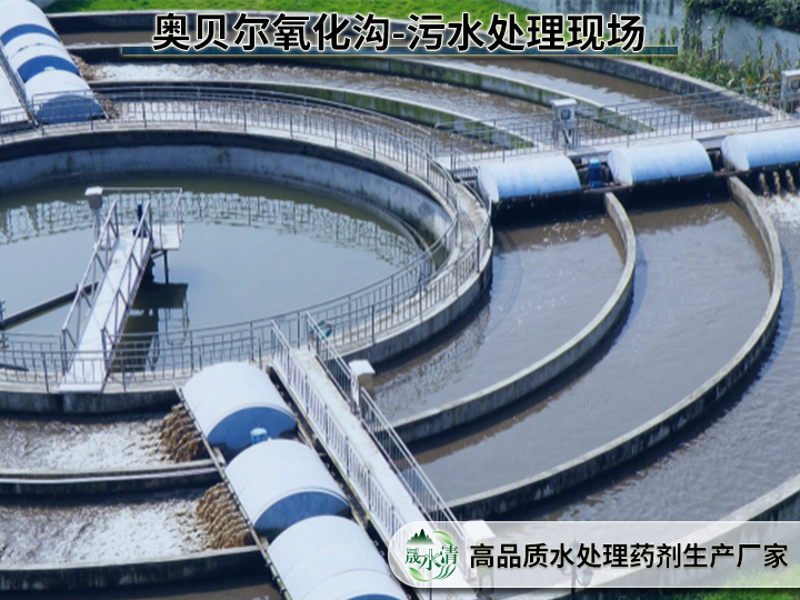 氧化沟、A/O、A²/O、SBR、活性污泥、生物膜法：6种主流工艺一次讲清
