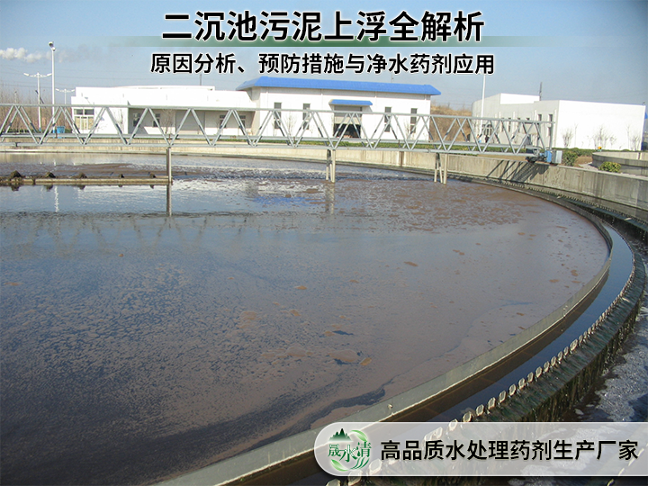 别让二沉池浮泥影响达标排放：原因+对策+药剂方案